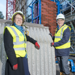 Merrion House starts taking shape